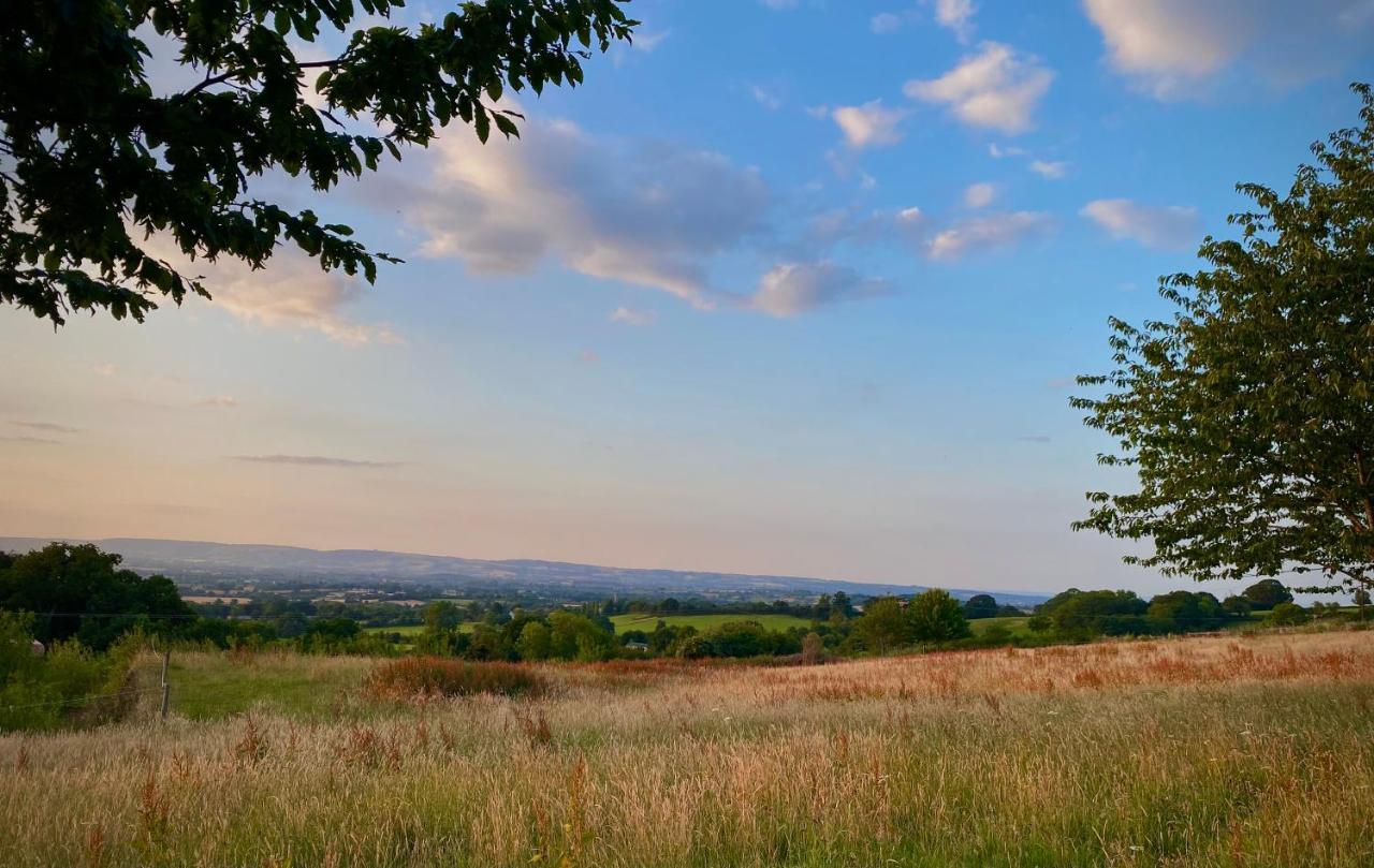 Cherry Tree Glamping Lodge Somerset  Esterno foto