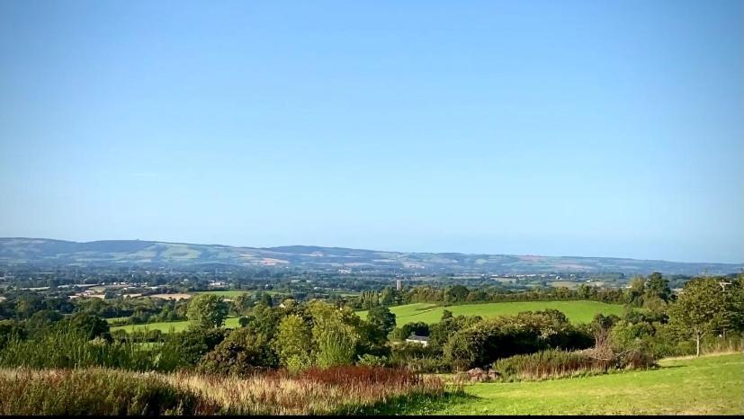Cherry Tree Glamping Lodge Somerset  Esterno foto