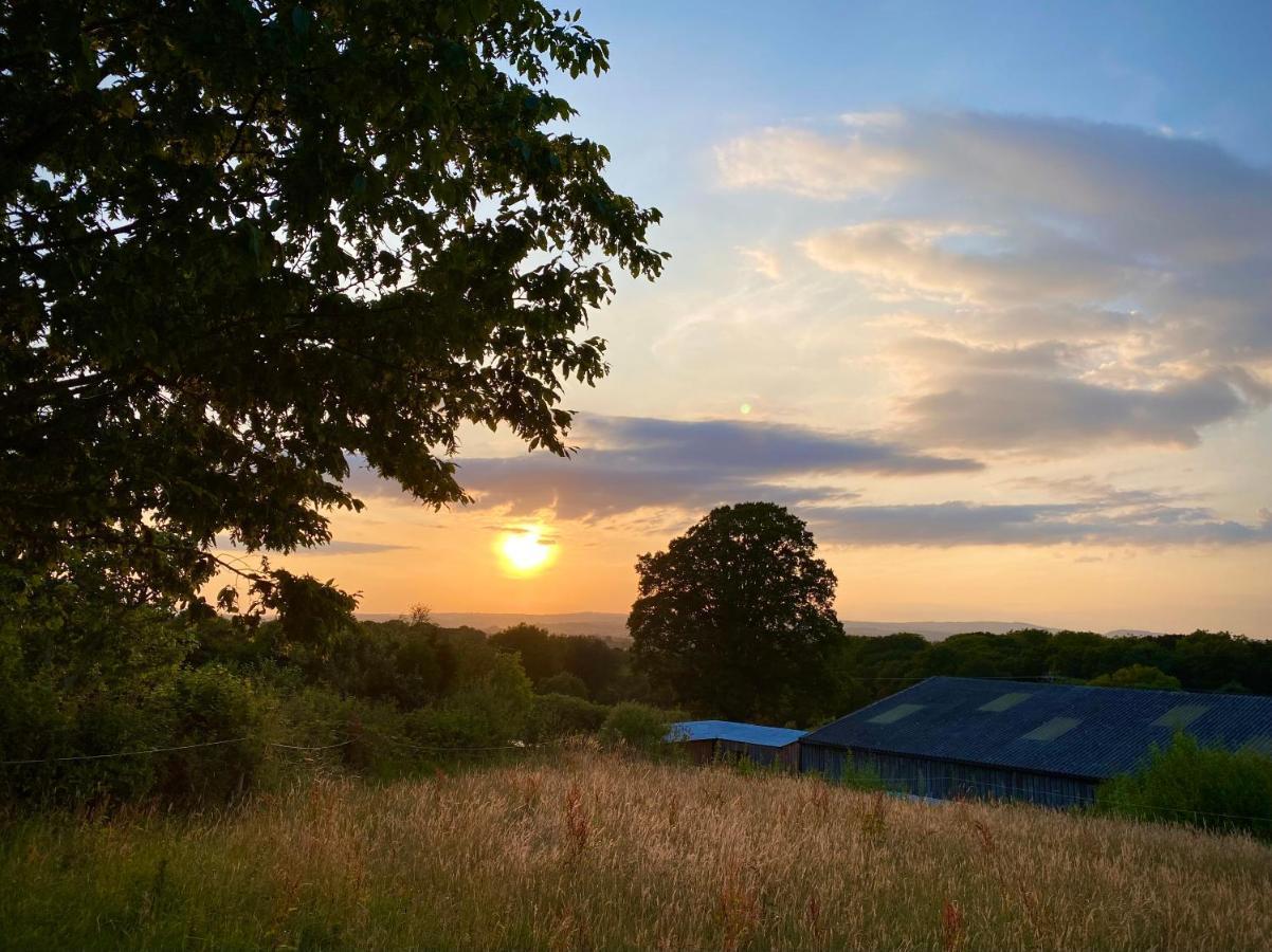 Cherry Tree Glamping Lodge Somerset  Esterno foto
